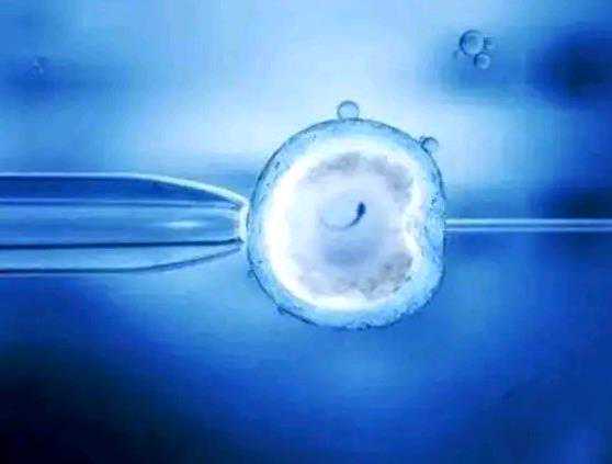 广州试管代孕可以龙凤胎吗|桂林供卵三代试管婴儿排行榜一览，2023年已更新
