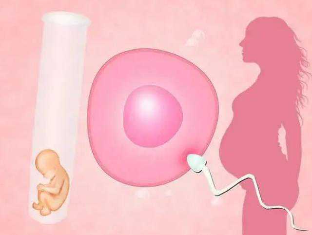 广州代孕中介有那几个|广西供卵试管成功率是多少？广西正规医院的卵子银行