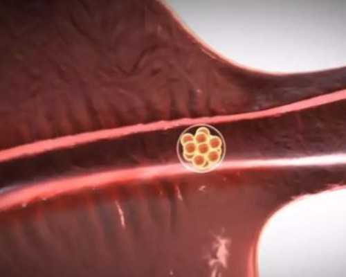 广州做试管的医院,广州私人医院做试管