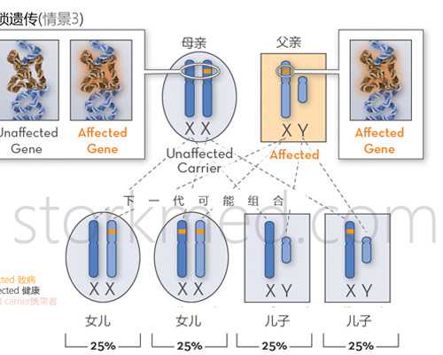 <strong>广州代怀做男孩价格,广州试管婴儿哪间最好,试管婴儿广州哪家医院最权威</strong>