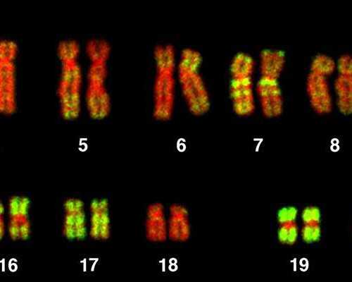 <strong>广州代怀合法医院,广州在医院做个试管多少钱，广州哪个三甲医院费用低</strong>