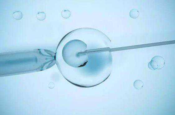 美国试管婴儿囊胚质量与卵子密切相关，如何提高通过率？_4ixQk