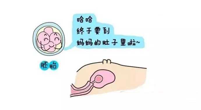 广州传承助孕生殖中心[供卵哪个医院好]+泰国试管婴儿流程是怎样的？需要提前